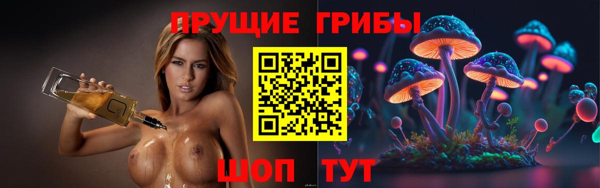 Галлюциногенные грибы прущие грибы Калуга